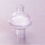 hollsteri004